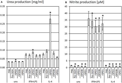 Phlebotomus perniciosus Recombinant Salivary Proteins Polarize Murine Macrophages Toward the Anti-Inflammatory Phenotype